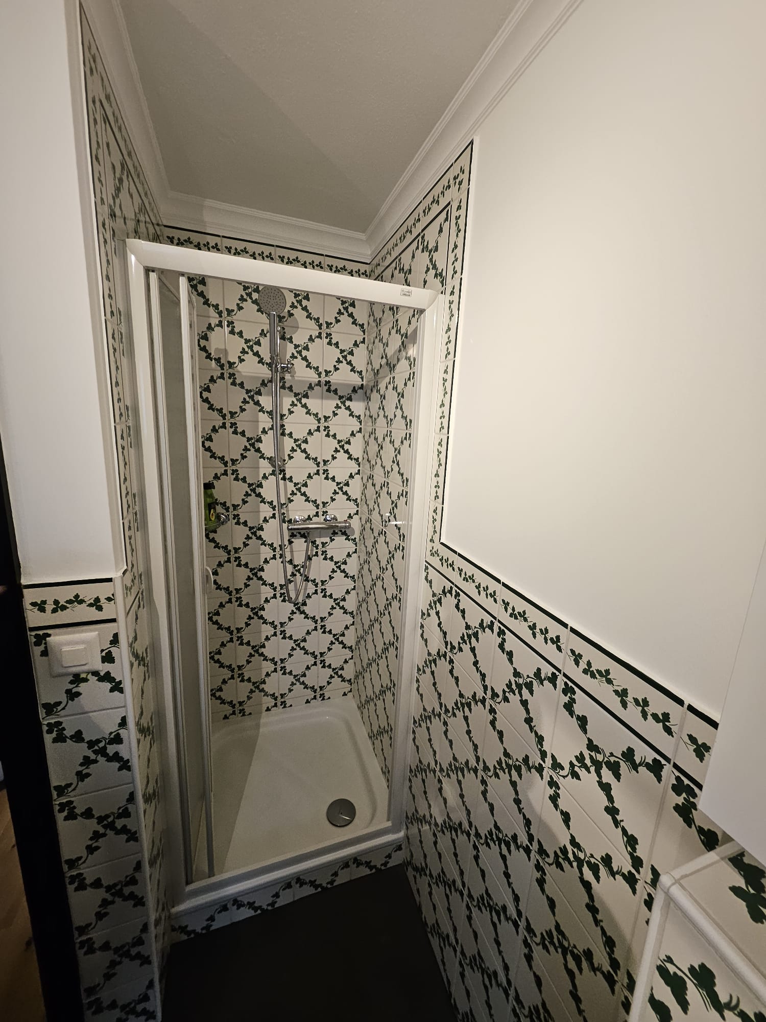 Ancienne douche avant rénovation, carrelage à motifs